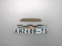 藏品(磨製石針)的圖片